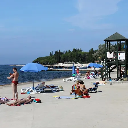Family Friendly House With A Swimming Pool Frankovici, Istria - Sredisnja Istra - 16569